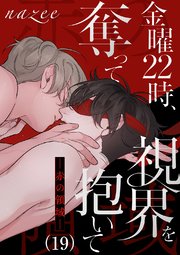 金曜22時、視界を奪って抱いて-赤の領域-19