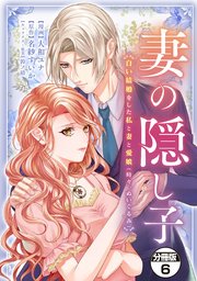 妻の隠し子～白い結婚をした私と妻と愛娘（時々、ぬいぐるみ）～　分冊版（６）