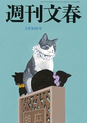 週刊文春 2024年5月30日号