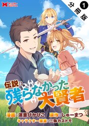 伝説に残らなかった大賢者（コミック） 分冊版