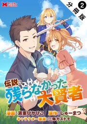 伝説に残らなかった大賢者（コミック） 分冊版 ： 2