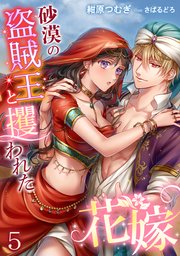 砂漠の盗賊王と攫われた花嫁（5）