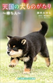 小学館ジュニア文庫 天国の犬ものがたり～待ち人～