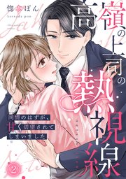 高嶺の上司の熱視線～同情のはずが、甘く切望されてしまいました～ 2巻