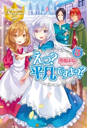 えっ？ 平凡ですよ？？3