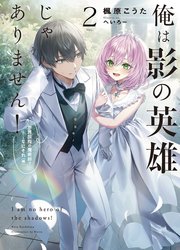 俺は影の英雄じゃありません！ 世界屈指の魔術師？……なにそれ（棒） 2巻