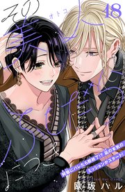 その美人（オトコ）ふしだらにつき［comic tint］分冊版（18）