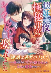 懐妊一夜で極秘出産したのに、シークレットベビーごと娶られました