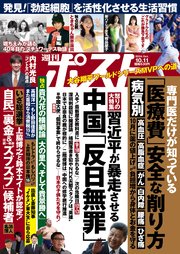 週刊ポスト 2024年 10月11日号
