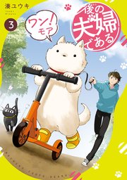 後の夫婦である ワン！モア3