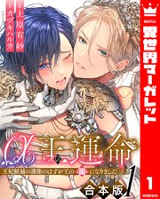 α王の運命～王妃候補の護衛のはずが王の番になりました～ 表紙