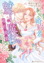 大好きだった婚約者に魅了の魔法のせいで婚約破棄されました。 3【電子限定かきおろし付】