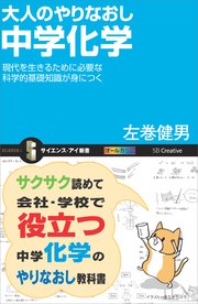 大人のやりなおし中学化学 現代を生きるために必要な科学的基礎知識が身につく