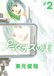 プラタナスの実 2