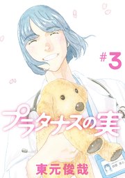 プラタナスの実 3
