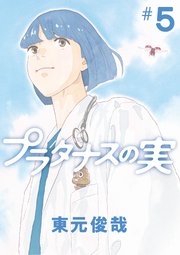 プラタナスの実 5