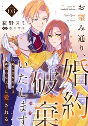 お望み通り、婚約破棄いたします～死に戻り令嬢は隣国の皇太子に愛される～ 3巻