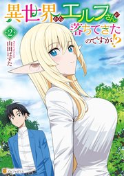 異世界からエルフさんが落ちてきたのですが！？2