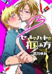 「セフレのハートの掴み方」シリーズ