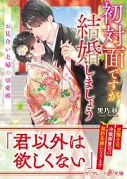 〈スパダリ三兄弟シリーズ〉初対面ですが結婚しましょう～お見合い夫婦の切愛婚～
