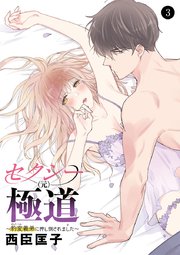 セクシー(元)極道～豹変義弟に押し倒されました～ 3