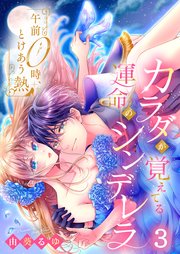 午前0時、とけあう熱～カラダが覚えてる運命のシンデレラ（3）