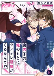 腐男子の俺のもとにツンデレ淫魔がくるなんて!? 5巻