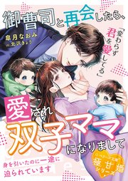 御曹司と再会したら、愛され双子ママになりまして～身を引いたのに一途に迫られています～【極甘婚シリーズ】【SS付き】