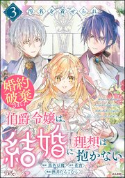 汚名を着せられ婚約破棄された伯爵令嬢は、結婚に理想は抱かない コミック版 （3）