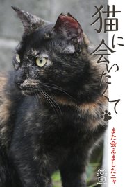 猫に会いたくて また会えましたニャ