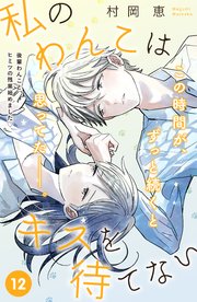 私のわんこはキスを待てない ［comic tint］分冊版（12）
