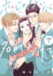 恋じゃないなら名前をつけて 分冊版（3）
