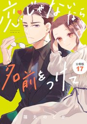 恋じゃないなら名前をつけて 分冊版（17）