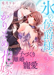 氷の侯爵様とかりそめの花嫁～子づくりしたら離婚のはずが、なぜか寵愛されてます～（3）