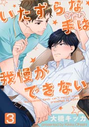 いたずらな手は我慢ができない 3巻
