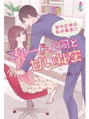 エリート上司と甘い秘密～彼の正体は私の義弟！？～