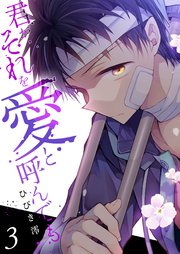 君がそれを愛と呼んでも【電子単行本版】 3巻