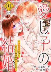 愛し子の結婚～偽装契約なのにエリート騎士様が甘すぎる～
