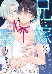 兄を嫁に娶ります～今度は手放さない～3