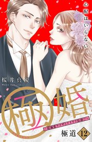 極婚～超溺愛ヤクザとケイヤク結婚！？～ 分冊版（12）