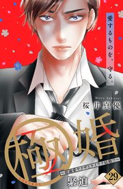 極婚～超溺愛ヤクザとケイヤク結婚！？～ 分冊版（29）