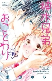 神木兄弟おことわり 分冊版（16）