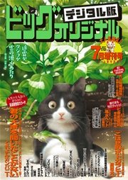 ビッグコミックオリジナル増刊 2017年7月増刊号（2017年6月12日発売）