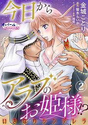 今日からアラブのお姫様！？ いきなりシンデレラ2