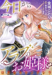 今日からアラブのお姫様！？ いきなりシンデレラ3
