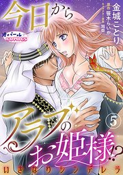 今日からアラブのお姫様！？ いきなりシンデレラ5