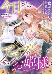 今日からアラブのお姫様！？ いきなりシンデレラ6