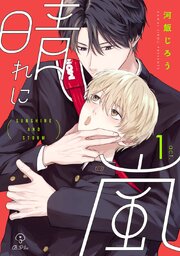 晴れに嵐