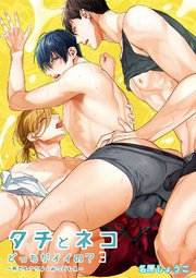 タチとネコどっちがイイの？ 分冊版 3 ～外でもナカよくみつどもえ～