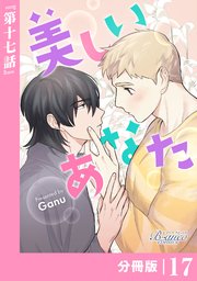美しいあなた【分冊版】17（ビアンココミックス）